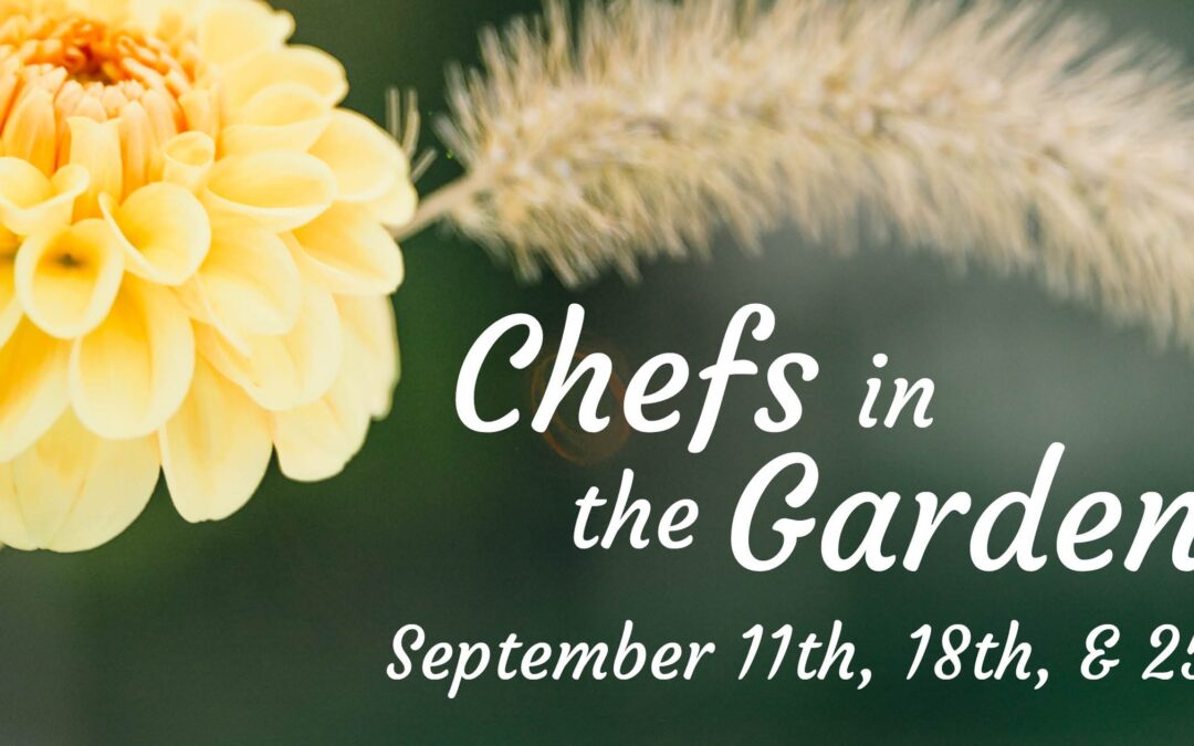 Tickets are live for Chefs in the Garden – click here to get yours!