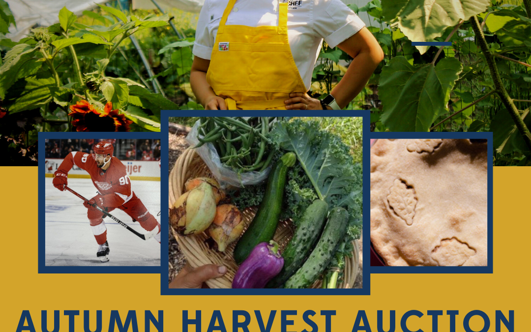Autumn Harvest Auction 2023