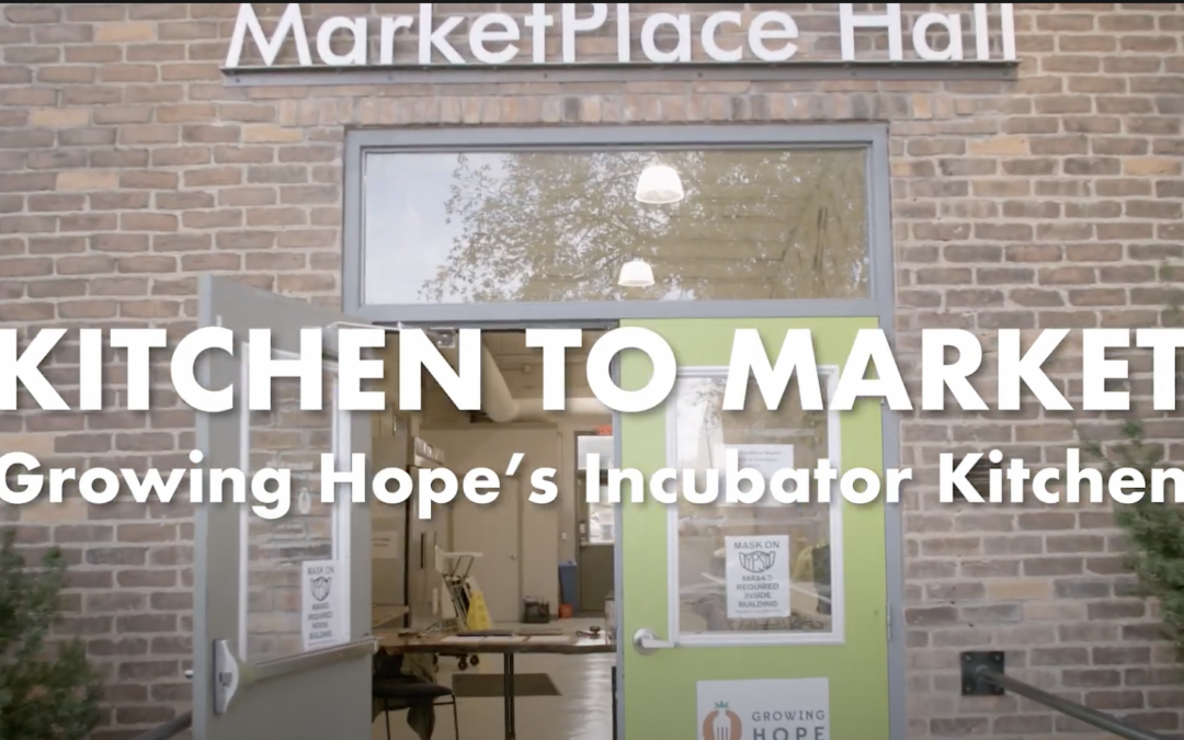 From Kitchen to Market: A new video about our kitchen